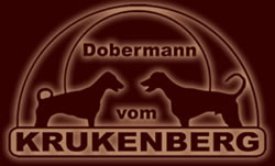 Dobermann "vom Krukenberg"
